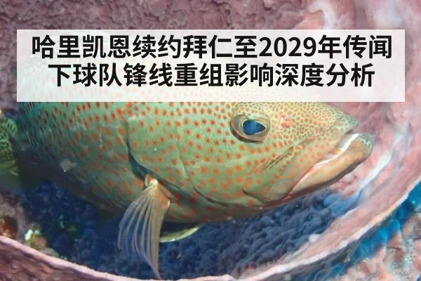 哈里凯恩续约拜仁至2029年传闻下球队锋线重组影响深度分析