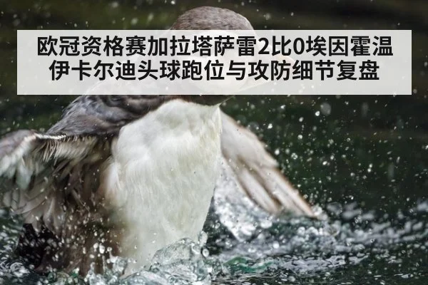 欧冠资格赛加拉塔萨雷2比0埃因霍温 伊卡尔迪头球跑位与攻防细节复盘